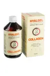 3827_HYALGEL COLL 500 ML